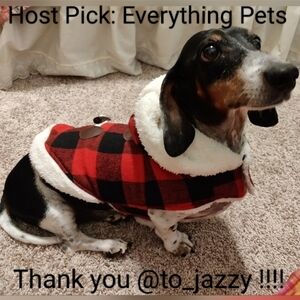 🎉3X Host Pick🎉 EUC Buffalo plaid dog coat